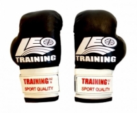 «Training» боксерские на липучке
