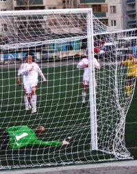 для футбольных ворот