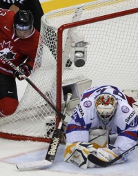 для хоккейных ворот