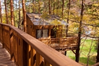 Домики на деревьях