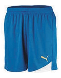 Esito Shorts with inner slip puma royal