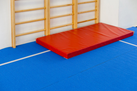 Гимнастические маты 2х1х0,1м тентовая ткань пвх