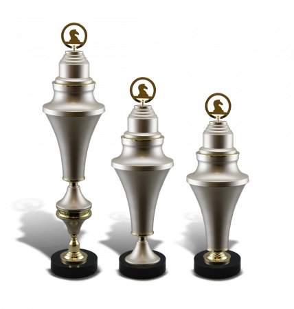 Кубок спортивный