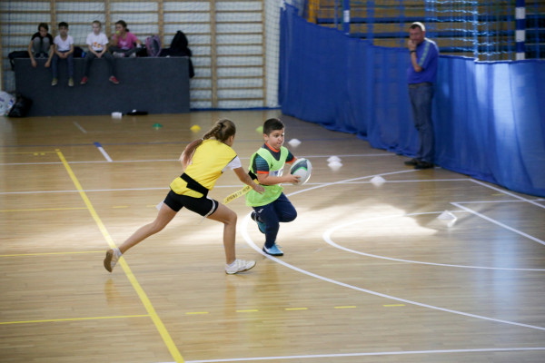 Использование универсальной тренировочной арены для проведения тренировки