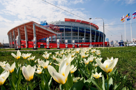 Организация и проведение мероприятий