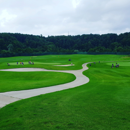 Организация и проведение мероприятий