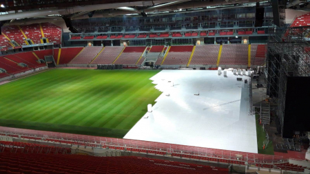 Ecoteck ARENA - цвет белый для натурального газона