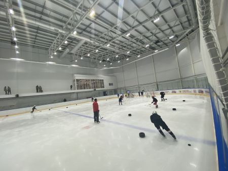 Аренда большого ледового поля