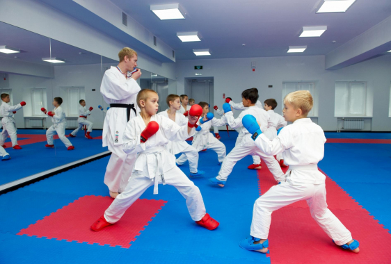 Бокс и единоборства: организация турниров, управление клубом и академией